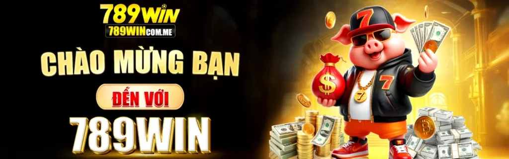 Hướng Dẫn Chi Tiết Mua Evo 200 – Uy Tín Và An Toàn