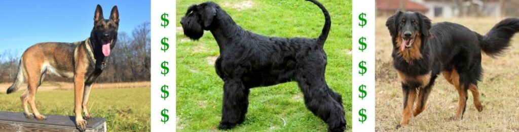 Khám Phá Https K9Cc.Tech Nền Tảng Đổi Mới Công Nghệ